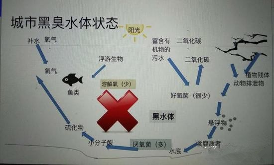 江蘇億元投資治污新技術(shù) 石墨烯能否治理黑臭水體？
