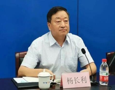 任職總經(jīng)理半年后，楊長利任中廣核董事長