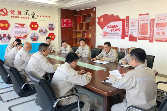 大唐淮北發(fā)電廠開展“沖刺四季度，奪取雙勝利”主題黨日活動(dòng)