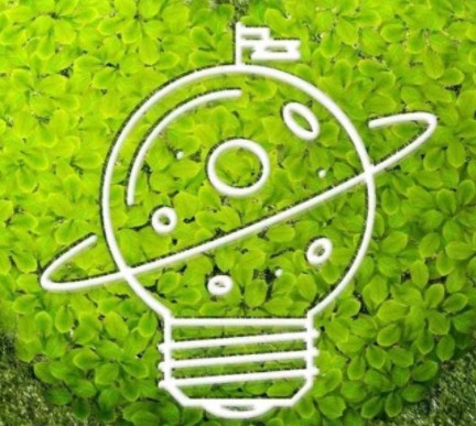 碳排放市場上線兩周后 “碳價”怎么樣了？