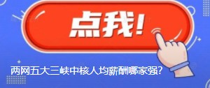 國網(wǎng)南網(wǎng)華能大唐國家能源三峽中核人均薪酬哪家強？