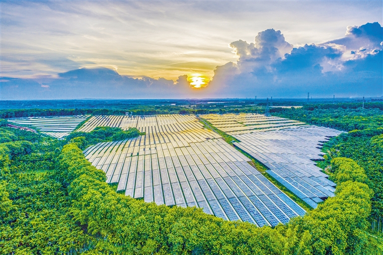 海南電網(wǎng)公司加快構(gòu)建現(xiàn)代供電服務(wù)體系，驅(qū)動(dòng)鄉(xiāng)村振興電力引擎