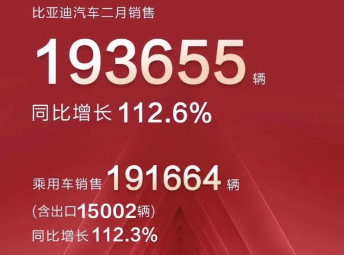 2月新能源車企成績單出爐，比亞迪一騎絕塵