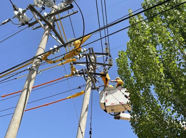 帶電作業(yè)除隱患，安全供電有保障