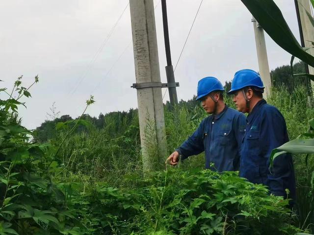 國網(wǎng)長春供電公司積極應對極端天氣，確保線路設備穩(wěn)定運行
