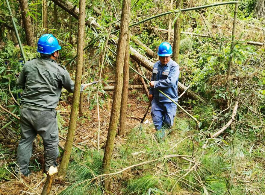 南方電網(wǎng)荔波供電局線路憂患如“猛獸”，通道清通要爭先