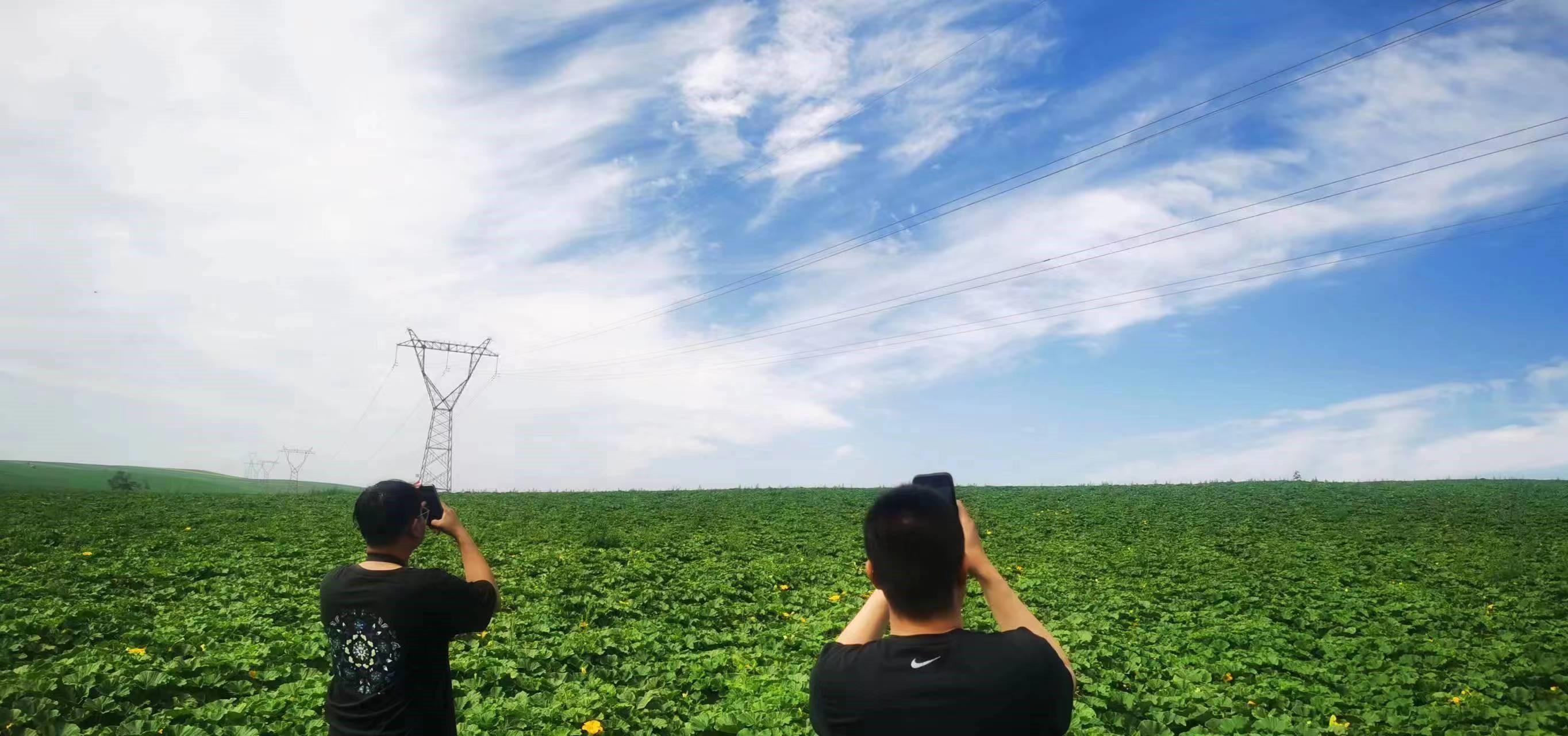 四子王輸變電管理處：防外力破壞，助安全運(yùn)行
